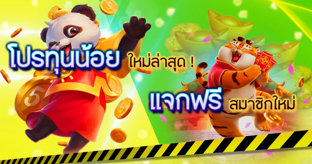 โปรทุนน้อยสมาชิกใหม่